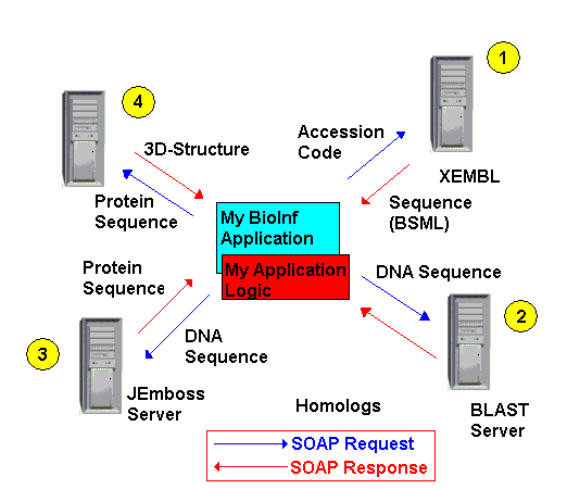 A possible BioInformatics application using web services